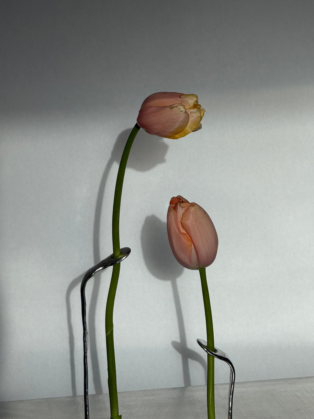 Favorite Vase — Set 06
