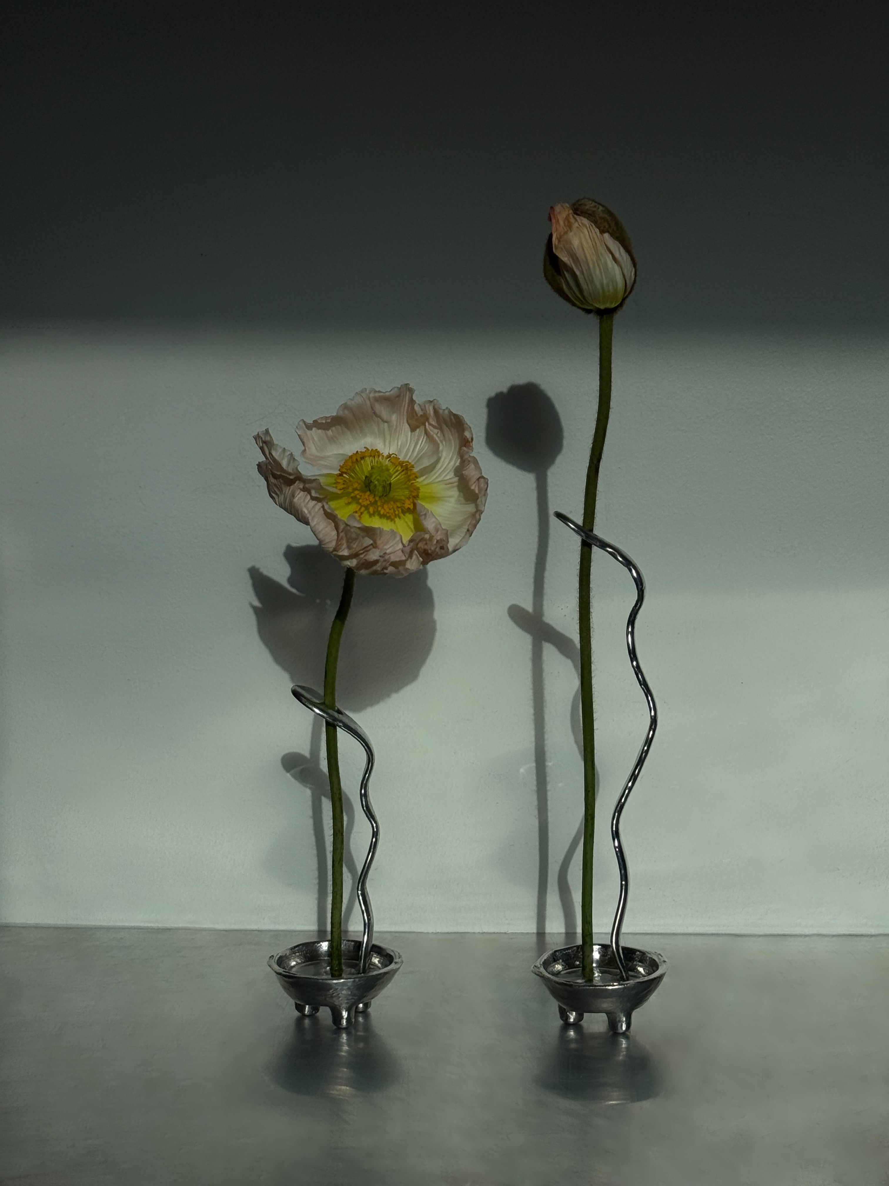 Favorite Vase — Set 09