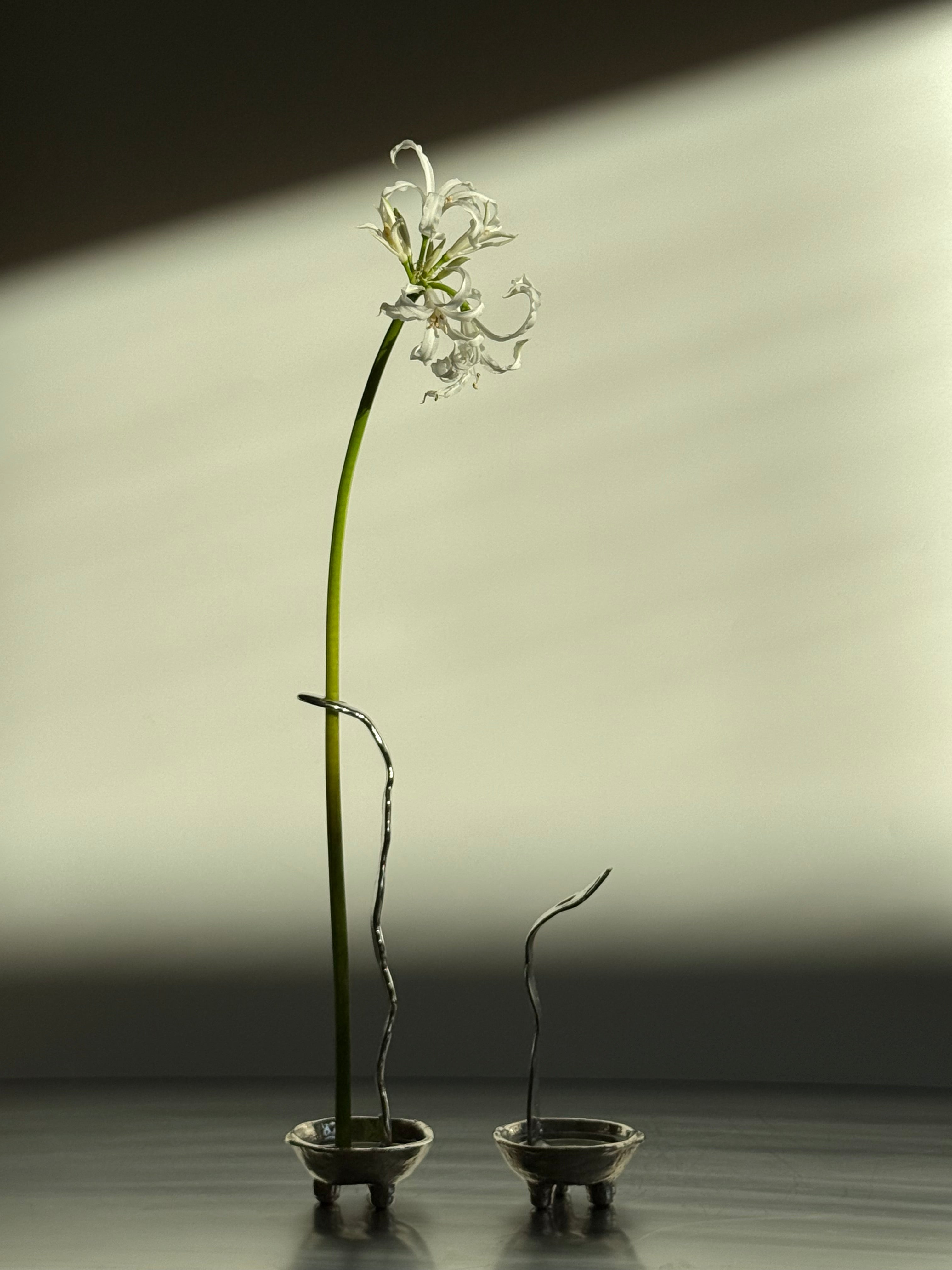 Favorite vase — The set