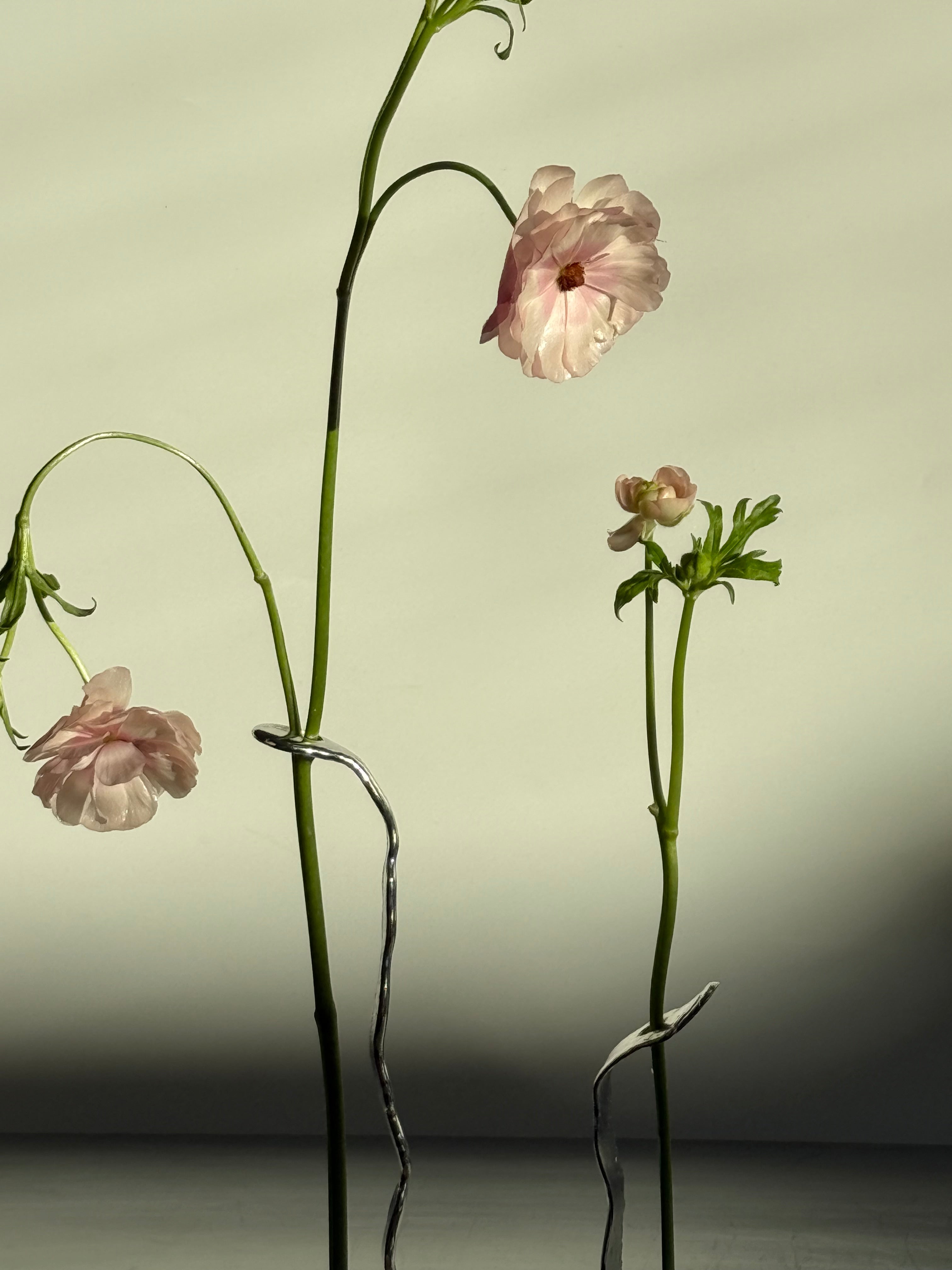 Favorite vase — The set