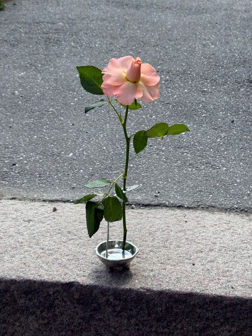 Favorite Vase