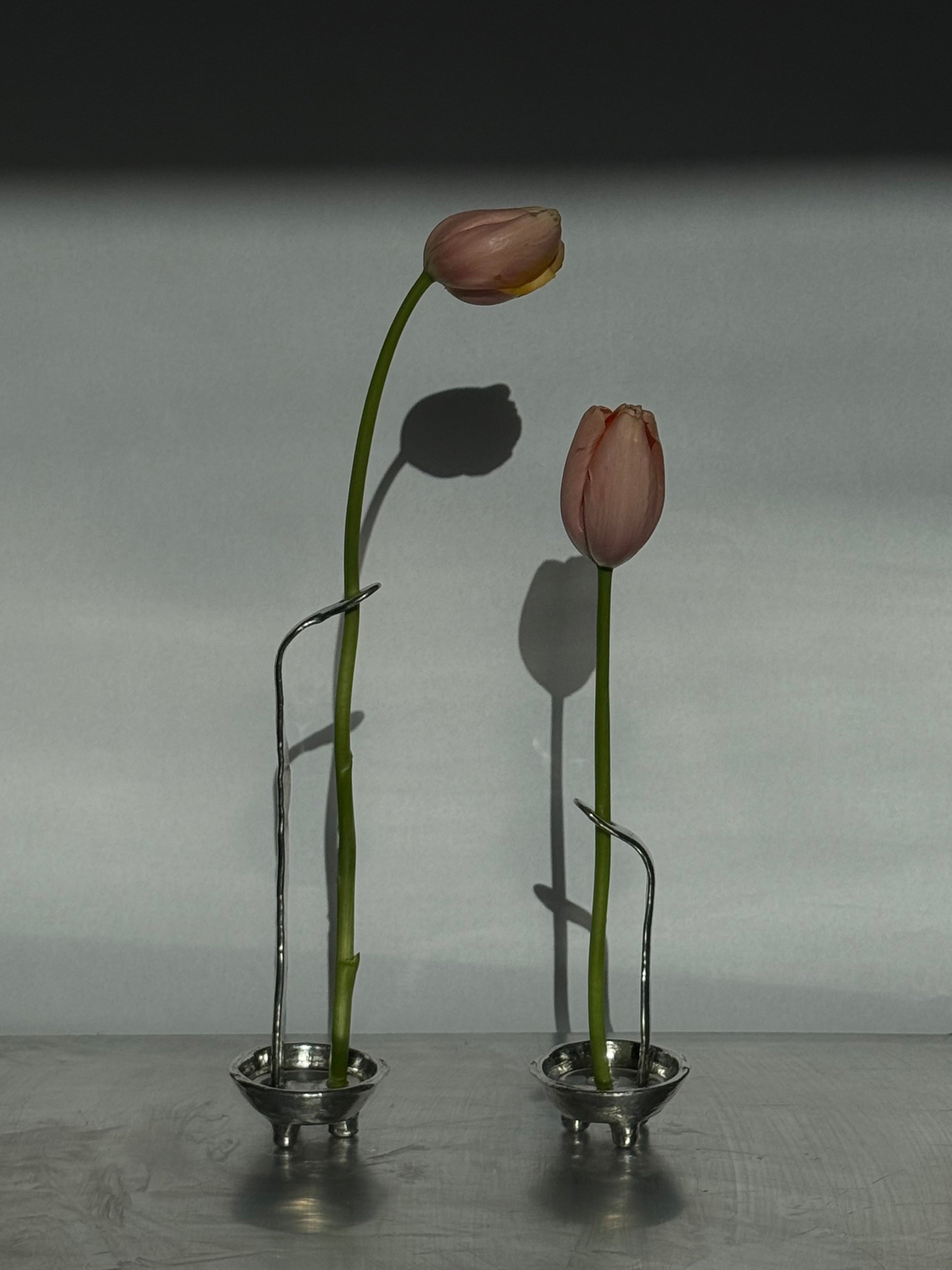 Favorite Vase — Set 06