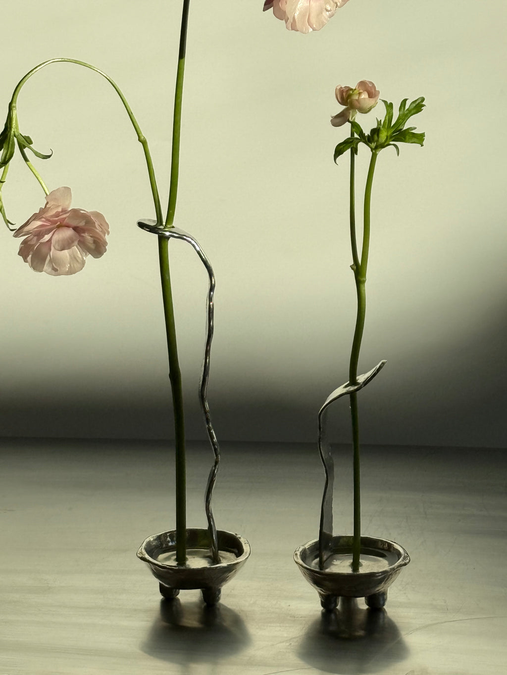 Favorite vase — The set