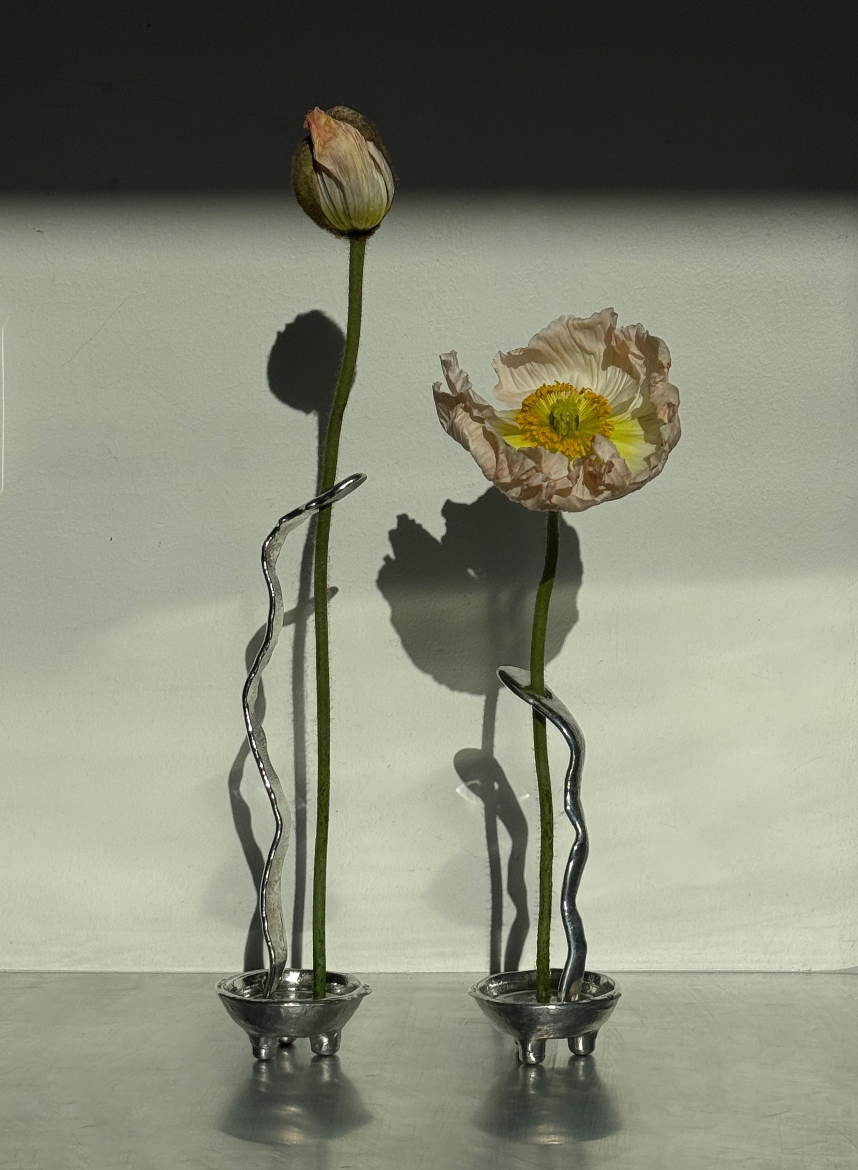 Favorite Vase — Set 09