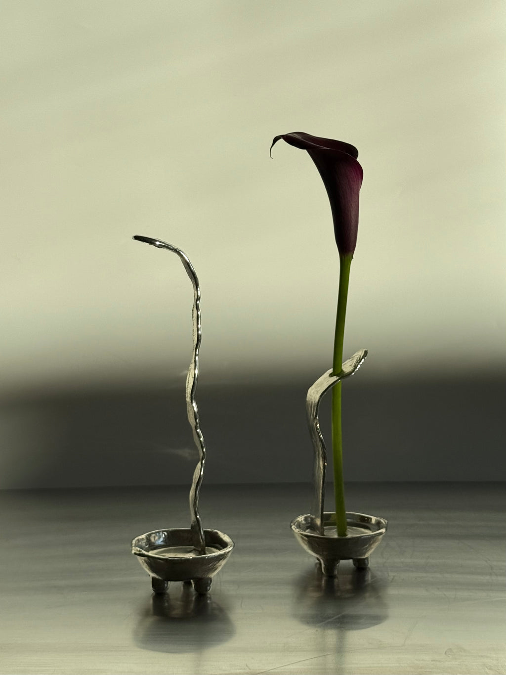 Favorite vase — The set