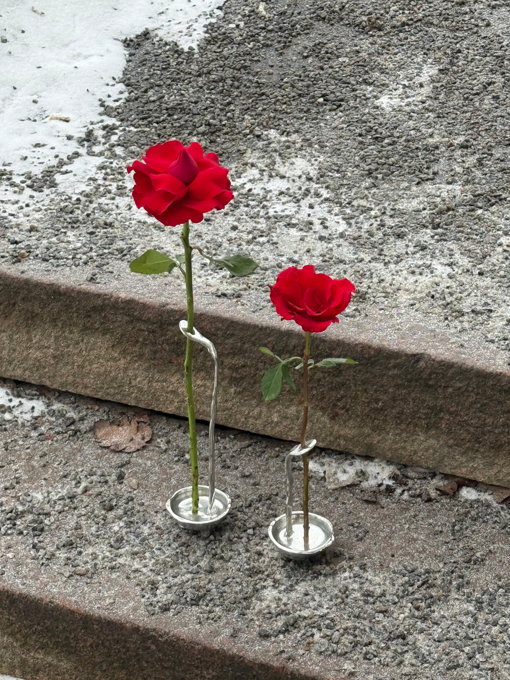 Favorite vase — The set